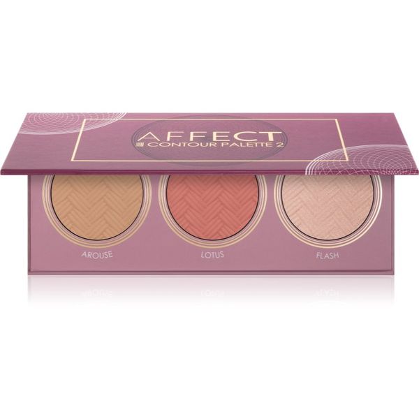 Affect Affect Contour Palette 2 osvetljevalec, bronzer in rdečilo 3x5 g