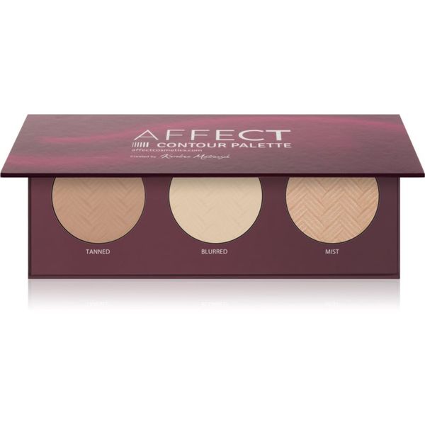 Affect Affect Contour Palette paleta za konture obraza za obraz 3x6 g