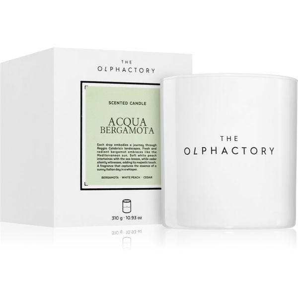 Ambientair Ambientair The Olphactory White Insignia Acqua Bergamota dišeča sveča 310 g