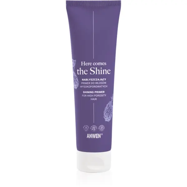 Anwen Anwen Here Comes The Shine Shining Primer For High Porosity Hair podlaga za lase 100 ml