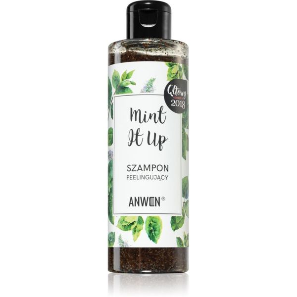 Anwen Anwen Mint It Up eksfoliacijski šampon 200 ml