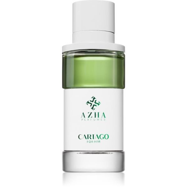 AZHA Perfumes AZHA Perfumes Cartago parfumska voda za moške 100 ml