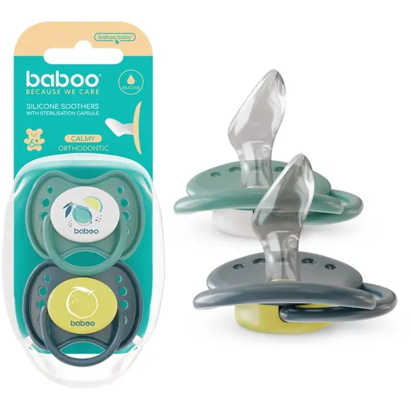 Baboo Baboo Soothers Silicone Orthodontic with Case duda Lagoon Fiesta 6-12 m 2 kos