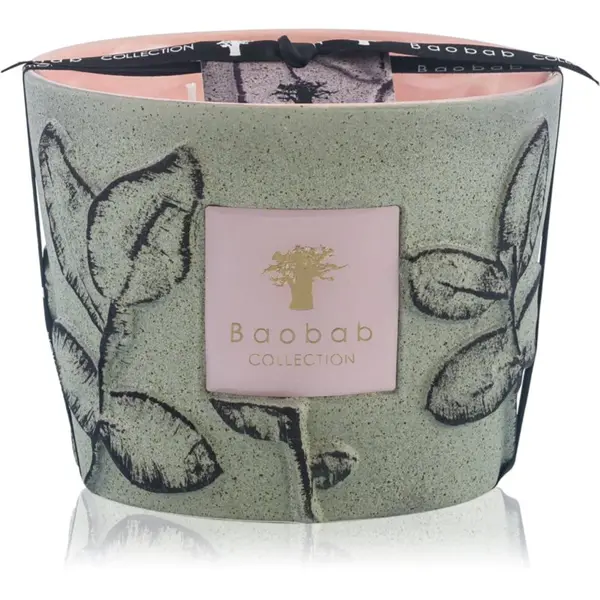 Baobab Collection Baobab Collection Folia Maquis dišeča sveča 500 g