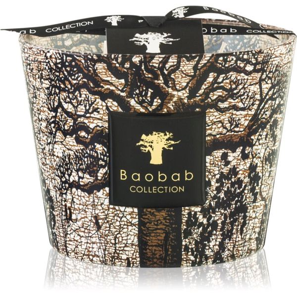 Baobab Collection Baobab Collection Sacred Trees Morondo dišeča sveča 10 cm