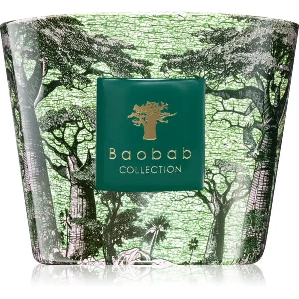 Baobab Collection Baobab Collection Sacred Trees Touba dišeča sveča 500 g