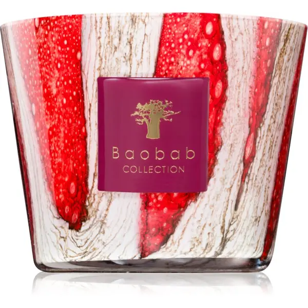 Baobab Collection Baobab Collection Woods Risoud dišeča sveča 500 g