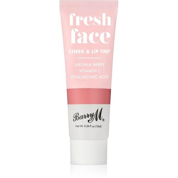 Barry M Barry M Fresh Face tekoče rdečilo in sijaj za ustnice odtenek Summer Rose 10 ml