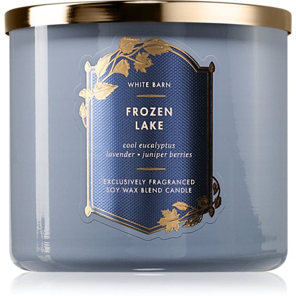 Bath & Body Works Bath & Body Works Frozen Lake dišeča sveča 411 g