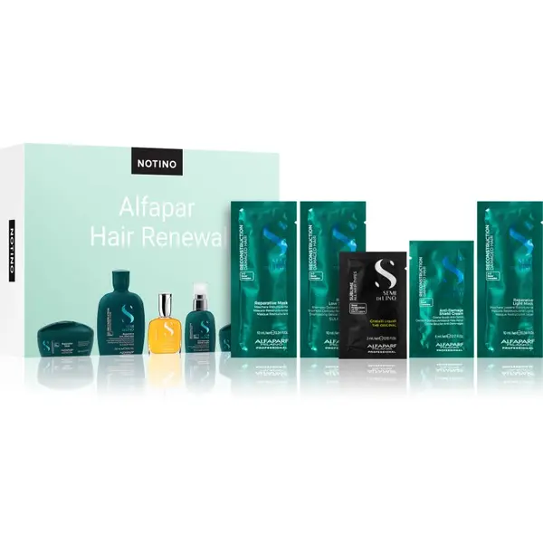 Beauty Beauty Discovery Box Notino XL - Alfaparf Hair Renewal set za ženske
