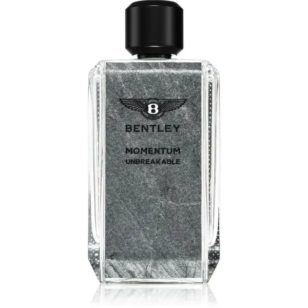 Bentley Bentley Momentum Unbreakable parfumska voda za moške 100 ml