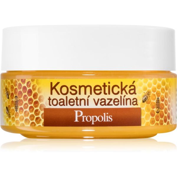 Bione Cosmetics Bione Cosmetics Honey + Q10 kozmetični vazelin 155 ml
