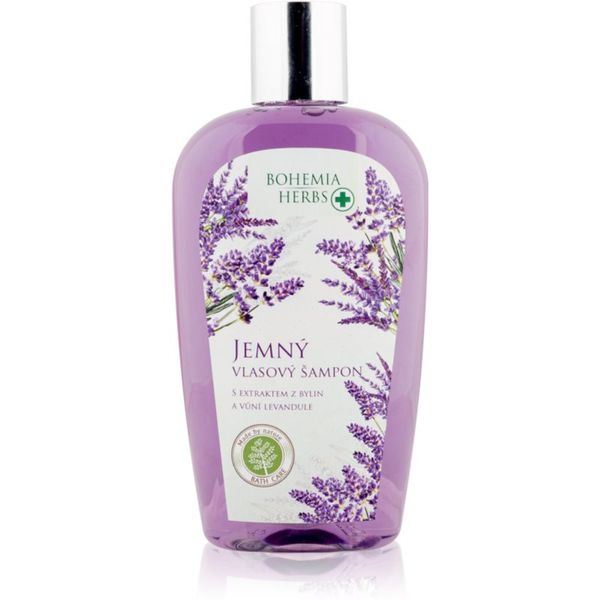 Bohemia Gifts & Cosmetics Bohemia Gifts & Cosmetics Bohemia Herbs Lavender šampon za lase 250 ml