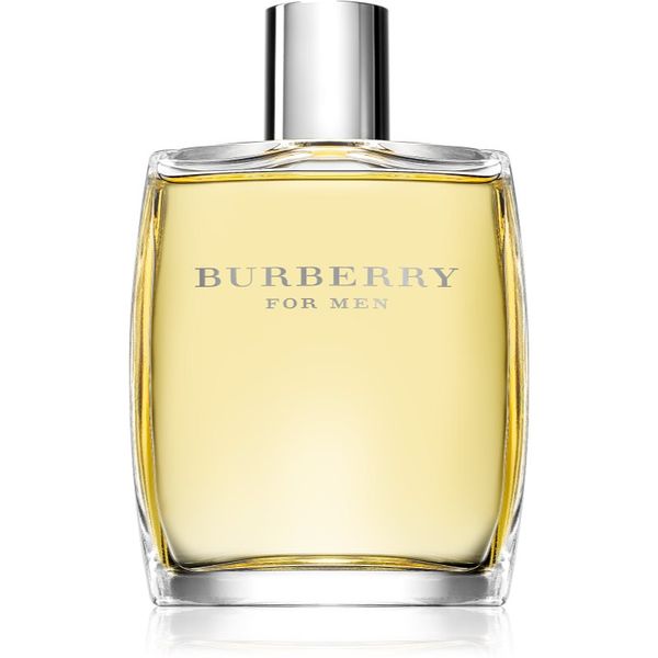 Burberry Burberry Burberry for Men toaletna voda za moške 100 ml