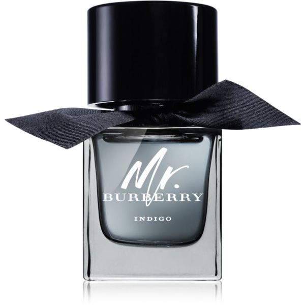 Burberry Burberry Mr. Burberry Indigo toaletna voda za moške 50 ml