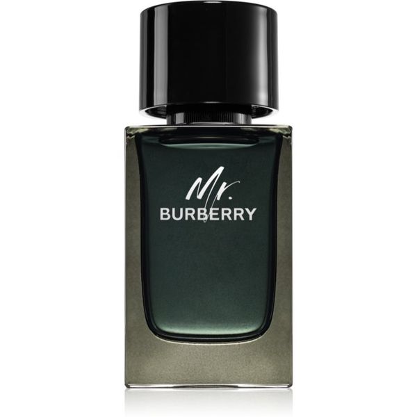 Burberry Burberry Mr. Burberry parfumska voda za moške 100 ml