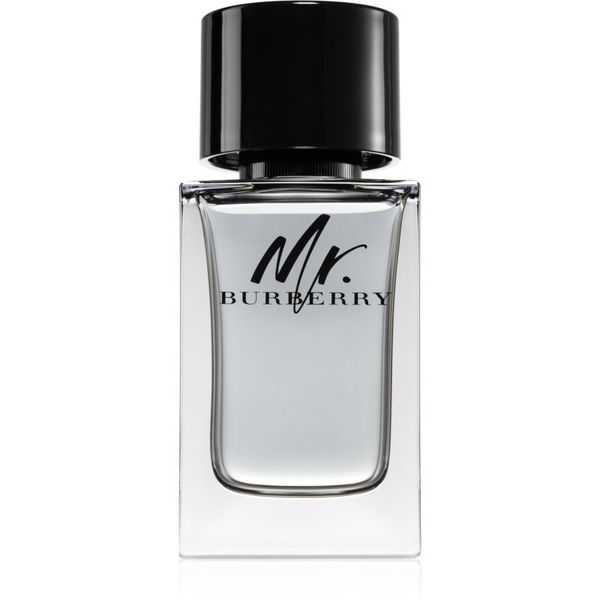 Burberry Burberry Mr. Burberry toaletna voda za moške 100 ml