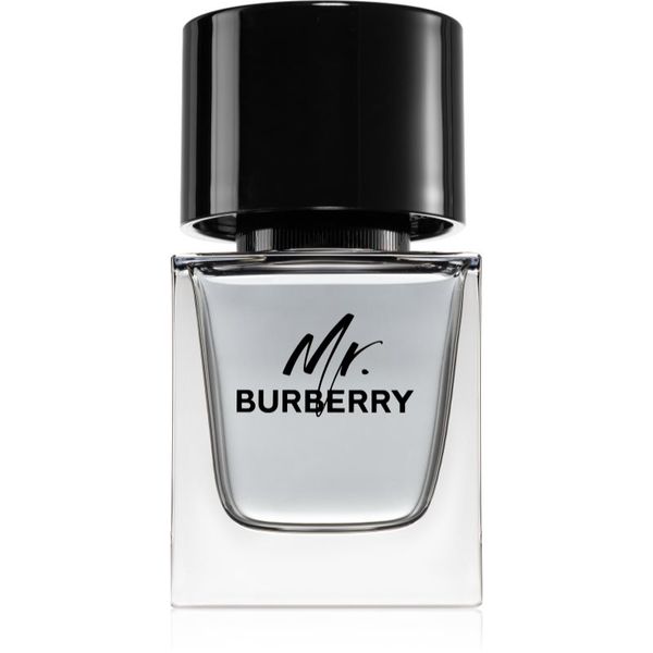 Burberry Burberry Mr. Burberry toaletna voda za moške 50 ml