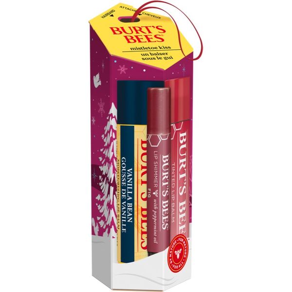 Burt’s Bees Burt’s Bees Festive Mistletoe Kiss darilni set (za ustnice)