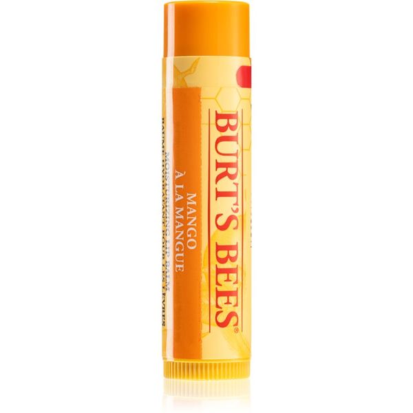 Burt’s Bees Burt’s Bees Lip Care hranilni balzam za ustnice (with Mango Butter) 4,25 g
