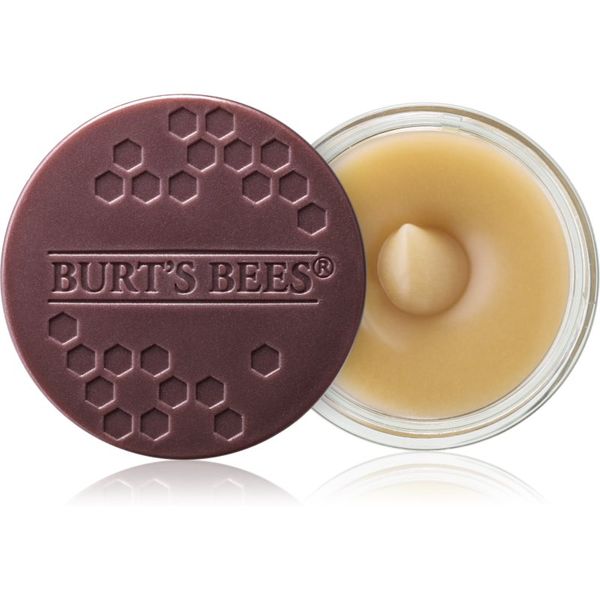 Burt’s Bees Burt’s Bees Lip Scrub piling za ustnice s hranilnim učinkom 7.08 g