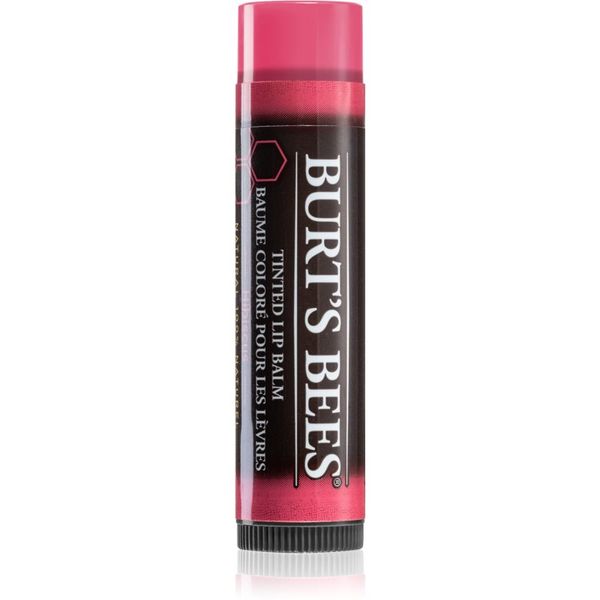 Burt’s Bees Burt’s Bees Tinted Lip Balm balzam za ustnice odtenek Hibiscus 4.25 g