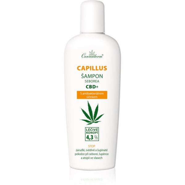 Cannaderm Cannaderm Seborea CBD+ šampon proti prhljaju 150 ml