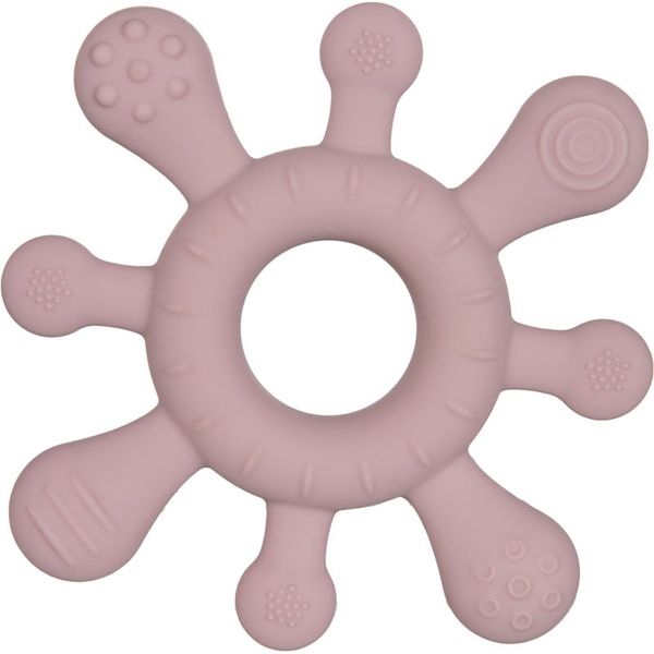 Canpol Babies canpol babies Teethers Silicone Starfish grizalo 1 kos