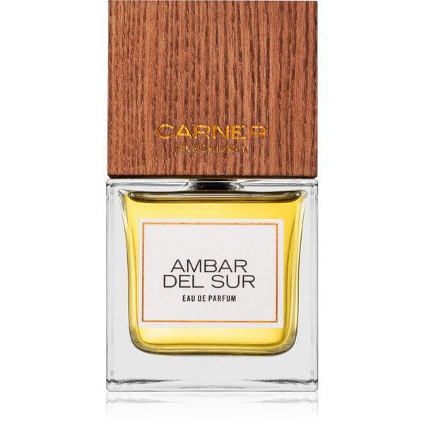 Carner Barcelona Carner Barcelona Ambar Del Sur parfumska voda uniseks 100 ml