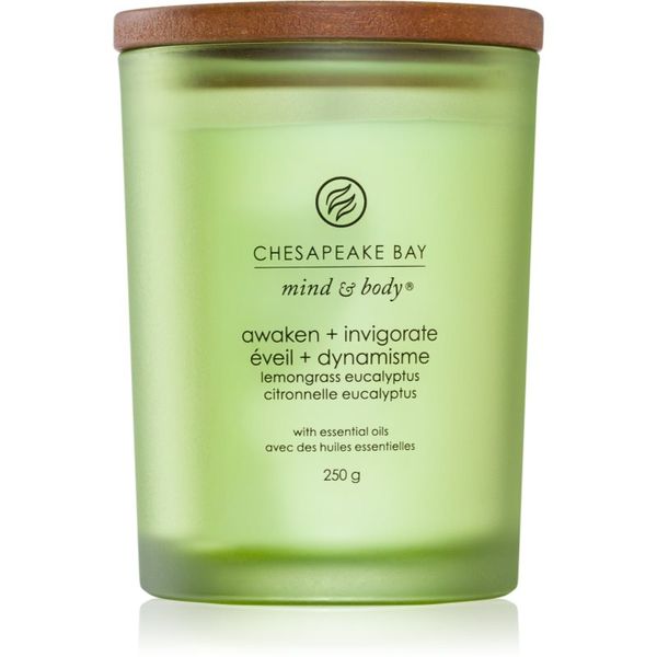 Chesapeake Bay Candle Chesapeake Bay Candle Mind & Body Awaken & Invigorate dišeča sveča 250 g