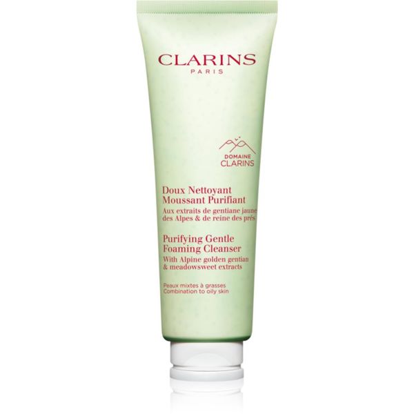Clarins Clarins Cleansing Purifying Gentle Foaming Cleanser čistilna pena 125 ml