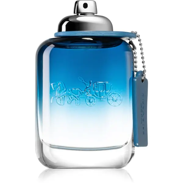 Coach Coach Blue toaletna voda za moške 100 ml
