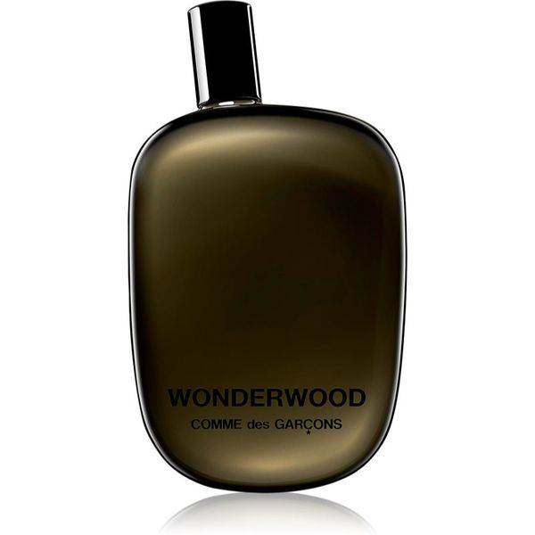 Comme des Garçons Comme des Garçons Wonderwood parfumska voda za moške 100 ml