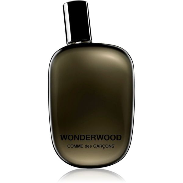 Comme des Garçons Comme des Garçons Wonderwood parfumska voda za moške 50 ml