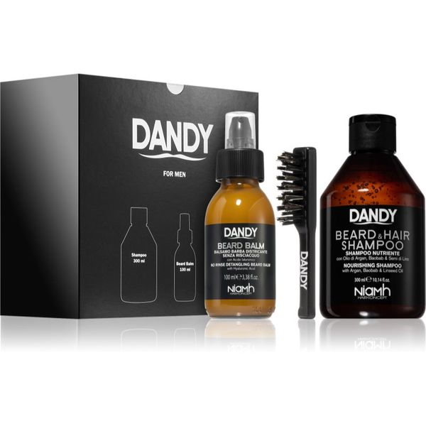 DANDY DANDY Beard gift box darilni set (za brado)