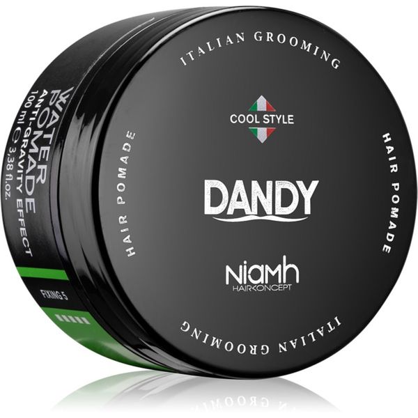 DANDY DANDY Water Pomade Anti-Gravity Effect pomada za lase z močnim utrjevanjem 100 ml