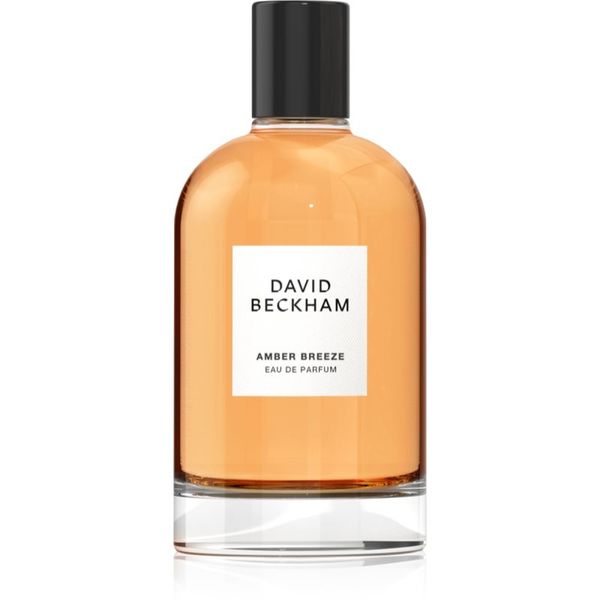 David Beckham David Beckham Amber Breeze parfumska voda za moške 100 ml