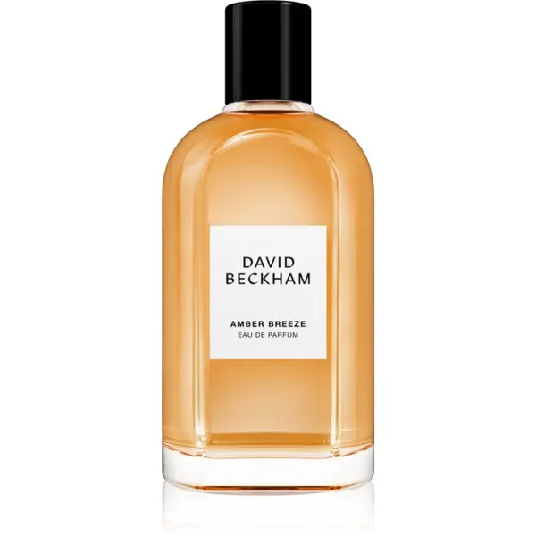 David Beckham David Beckham Amber Breeze parfumska voda za moške 100 ml