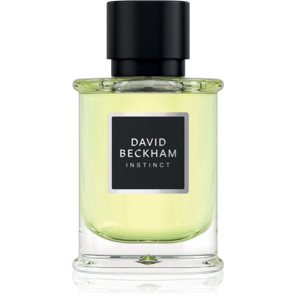 David Beckham David Beckham Instinct parfumska voda za moške 50 ml