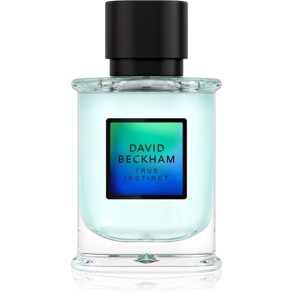 David Beckham David Beckham True Instinct parfumska voda za moške 50 ml