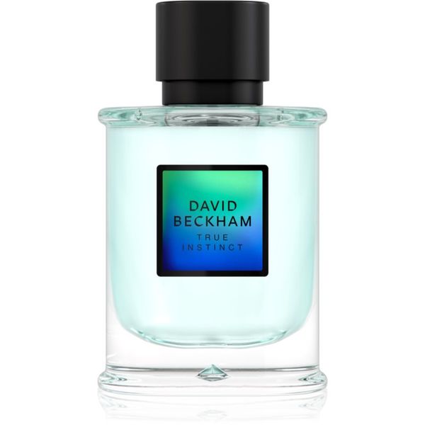 David Beckham David Beckham True Instinct parfumska voda za moške 75 ml