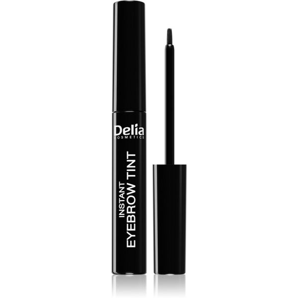 Delia Cosmetics Delia Cosmetics Eyebrow Expert barva za obrvi odtenek 1.0 BLACK 6 ml