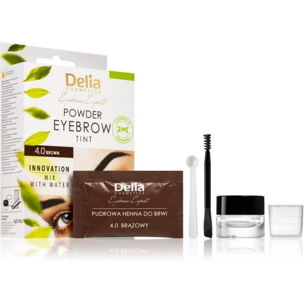 Delia Cosmetics Delia Cosmetics Eyebrow Expert tonirana barva za obrvi odtenek 4.0 Brown 4 g