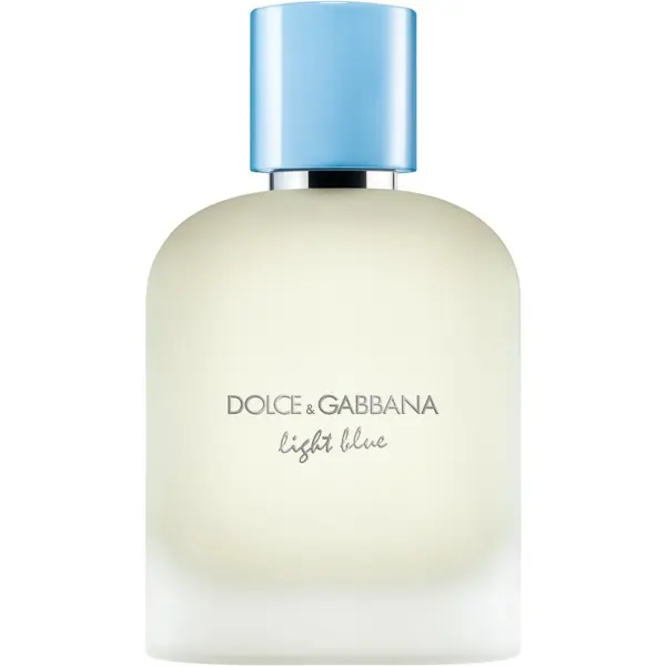 Dolce&Gabbana Dolce&Gabbana Light Blue Pour Homme Eau de Toilette toaletna voda za moške 100 ml