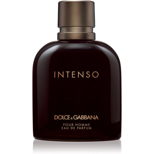 Dolce&Gabbana Dolce&Gabbana Pour Homme Intenso parfumska voda za moške 200 ml