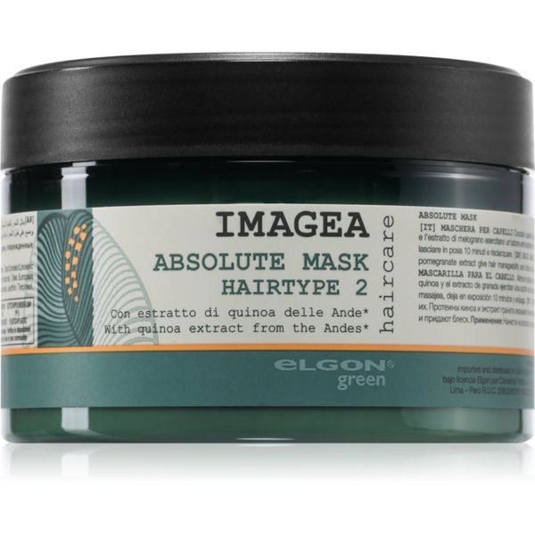 Elgon Green Imagea Elgon Green Imagea Absolute Mask maska za poškodovane lase 200 ml