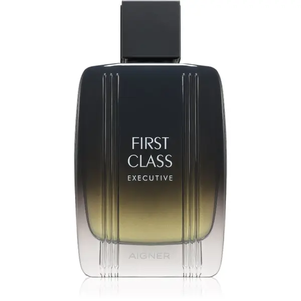 Etienne Aigner Etienne Aigner First Class Executive toaletna voda za moške 100 ml