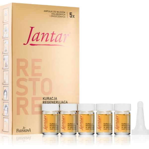 Farmona Farmona Jantar Amber Essence nega za obnovo poškodovanih las 5x5 ml