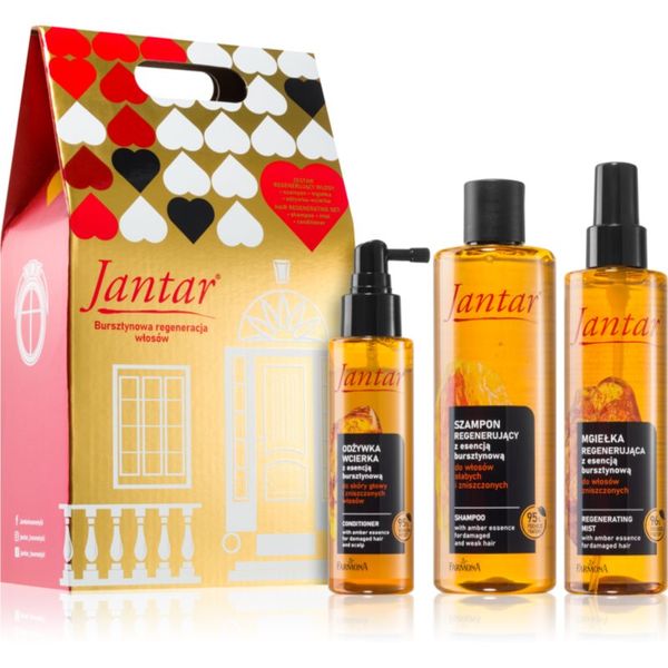 Farmona Farmona Jantar Damaged Hair darilni set za lase 3 kos