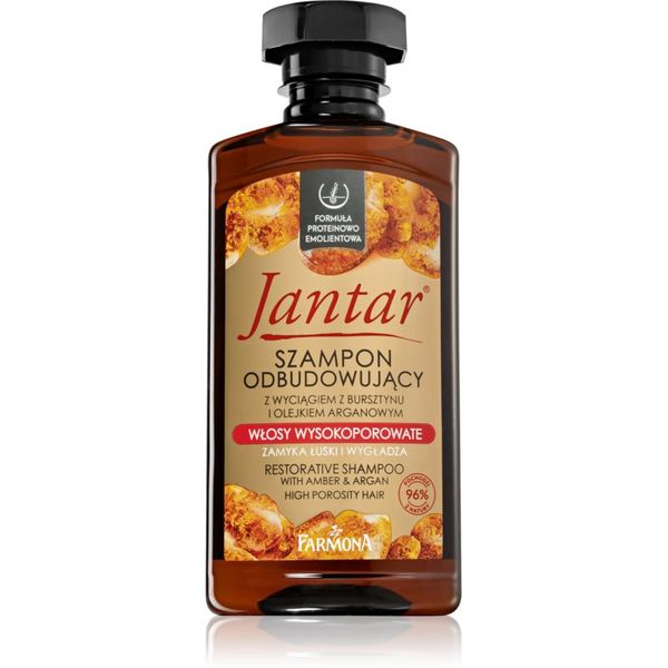 Farmona Farmona Jantar High Porosity Hair hranilni šampon za sijaj in mehkobo las 330 ml
